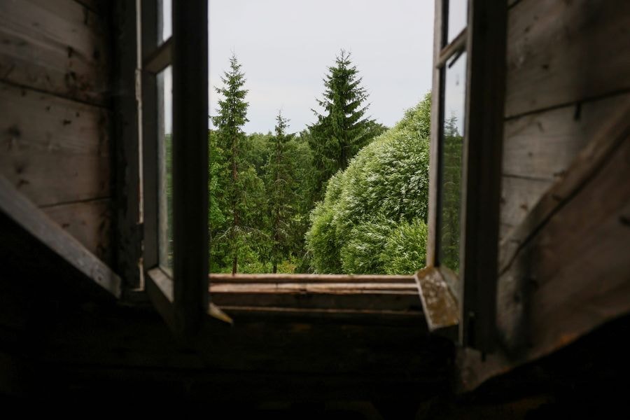 Вид из окна усадьбы в деревне Данилово